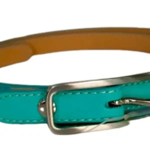 Cinturón delgado para Dama en Verde Agua - Estilo Elegante y Sofisticado, Modelo 930332
