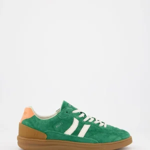 Becks-X Green Oasis
