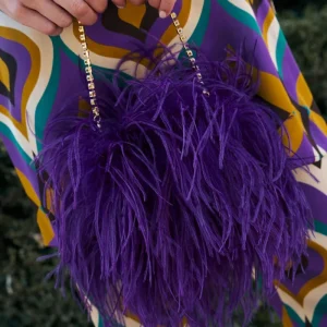 Bolsito plumas joya