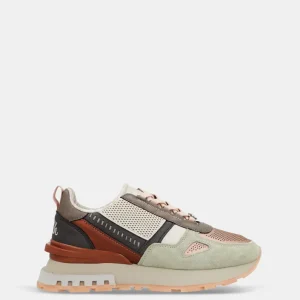 Deportivos multicolor