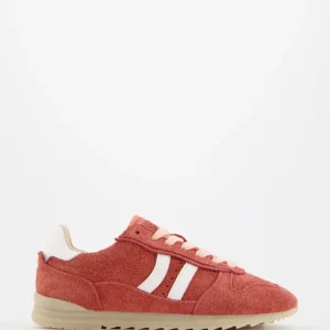 Switzer Red Rush