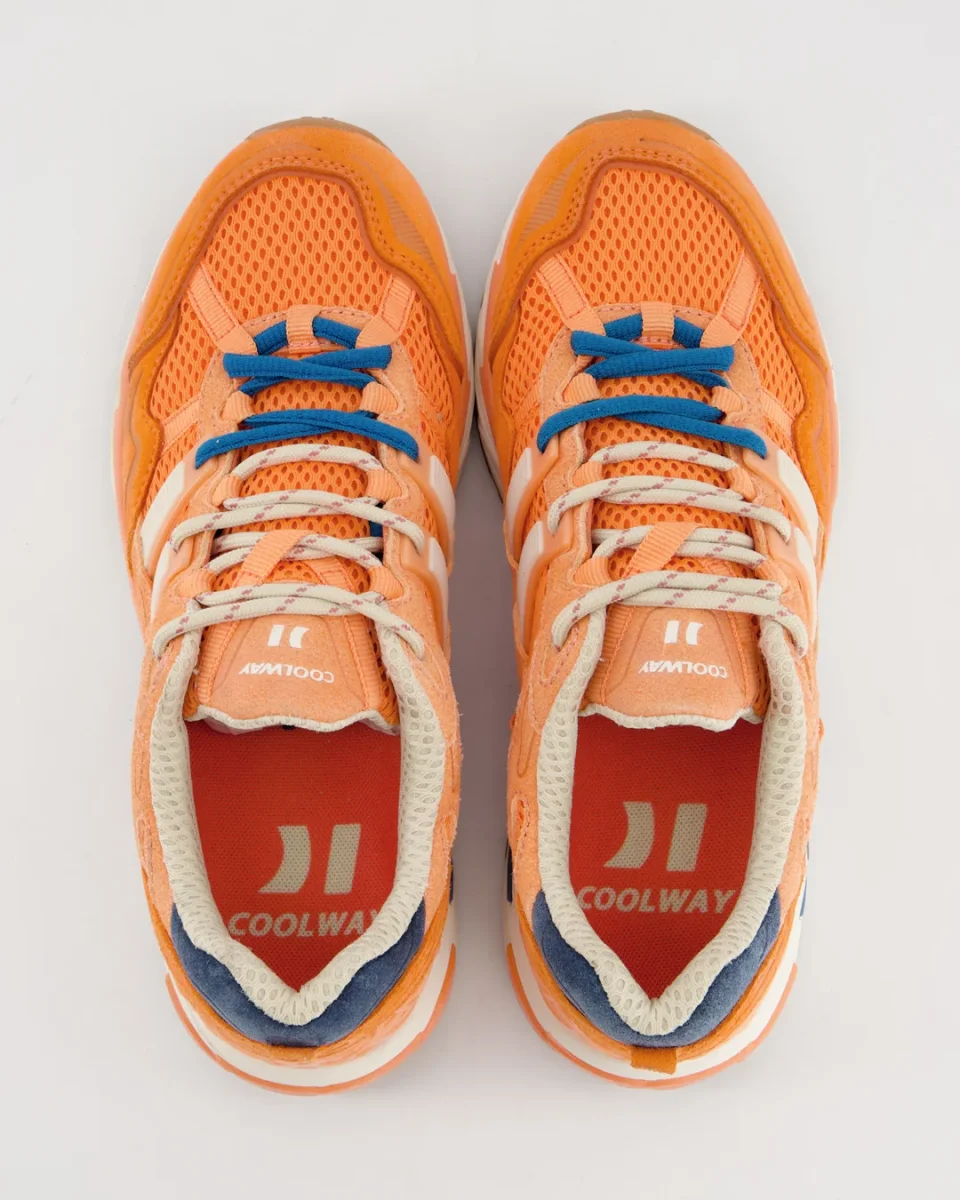 2003 Orange Flash - Imagen 6