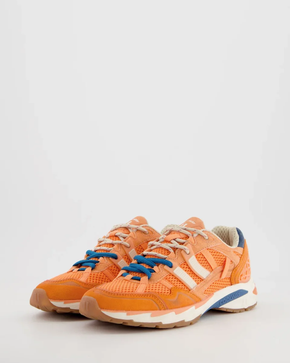 2003 Orange Flash - Imagen 8