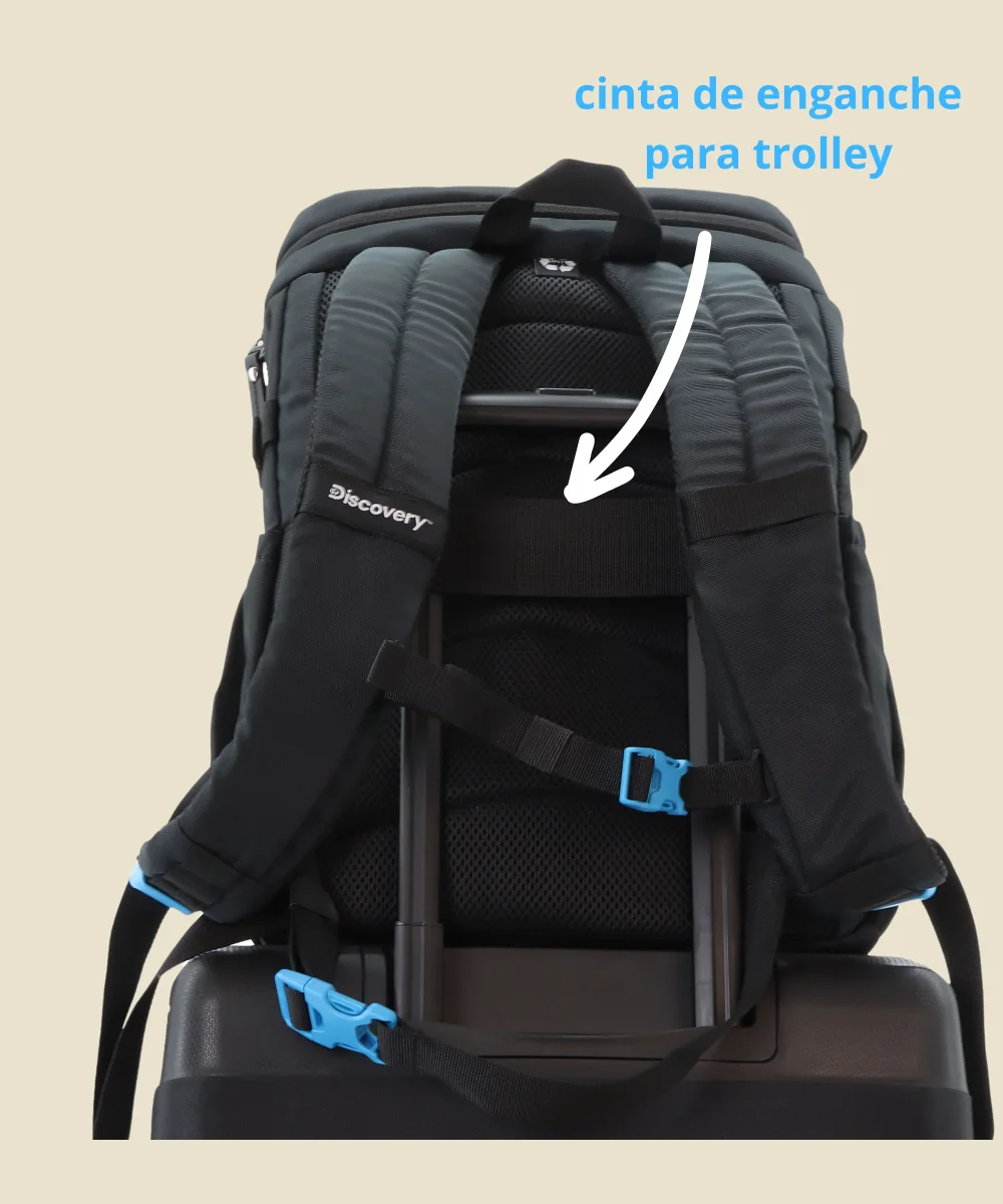 Mochila L Icon Portátil 15" 23 L - Imagen 7
