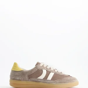 Baresi Urban Terra
