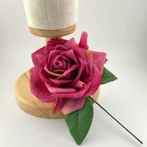 Flor Buganvilla