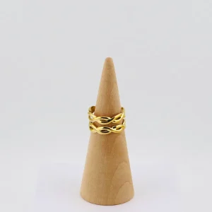 Anillo Larne