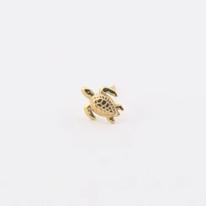 Mini Tortuga
