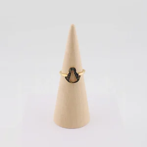 Anillo Jara
