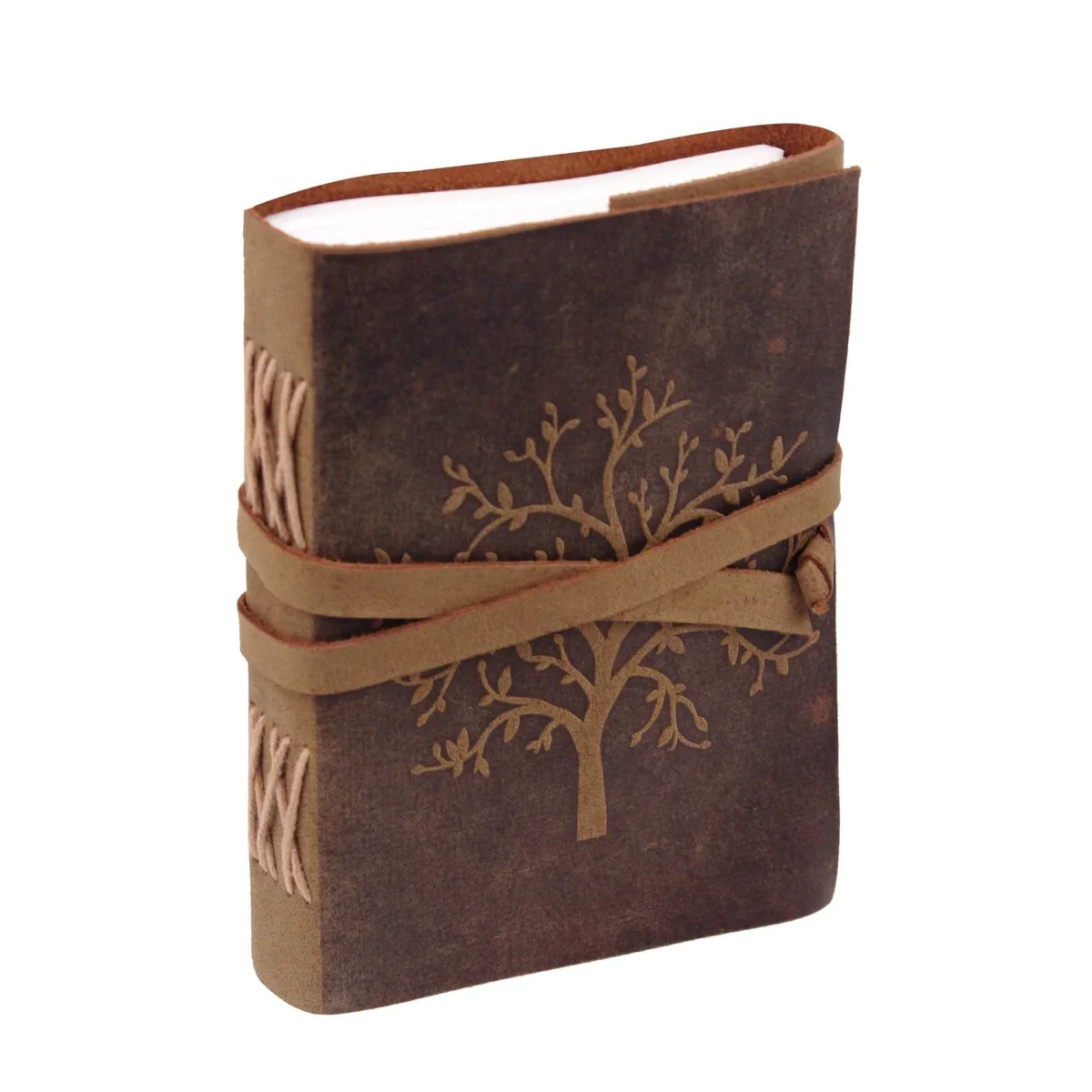 The Sapling Notebook - Imagen 2
