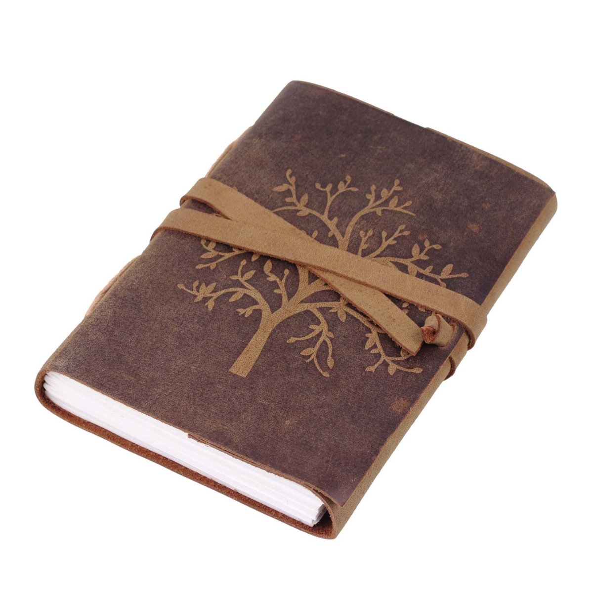 The Sapling Notebook - Imagen 3