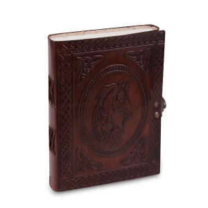 The Sanchi Journal