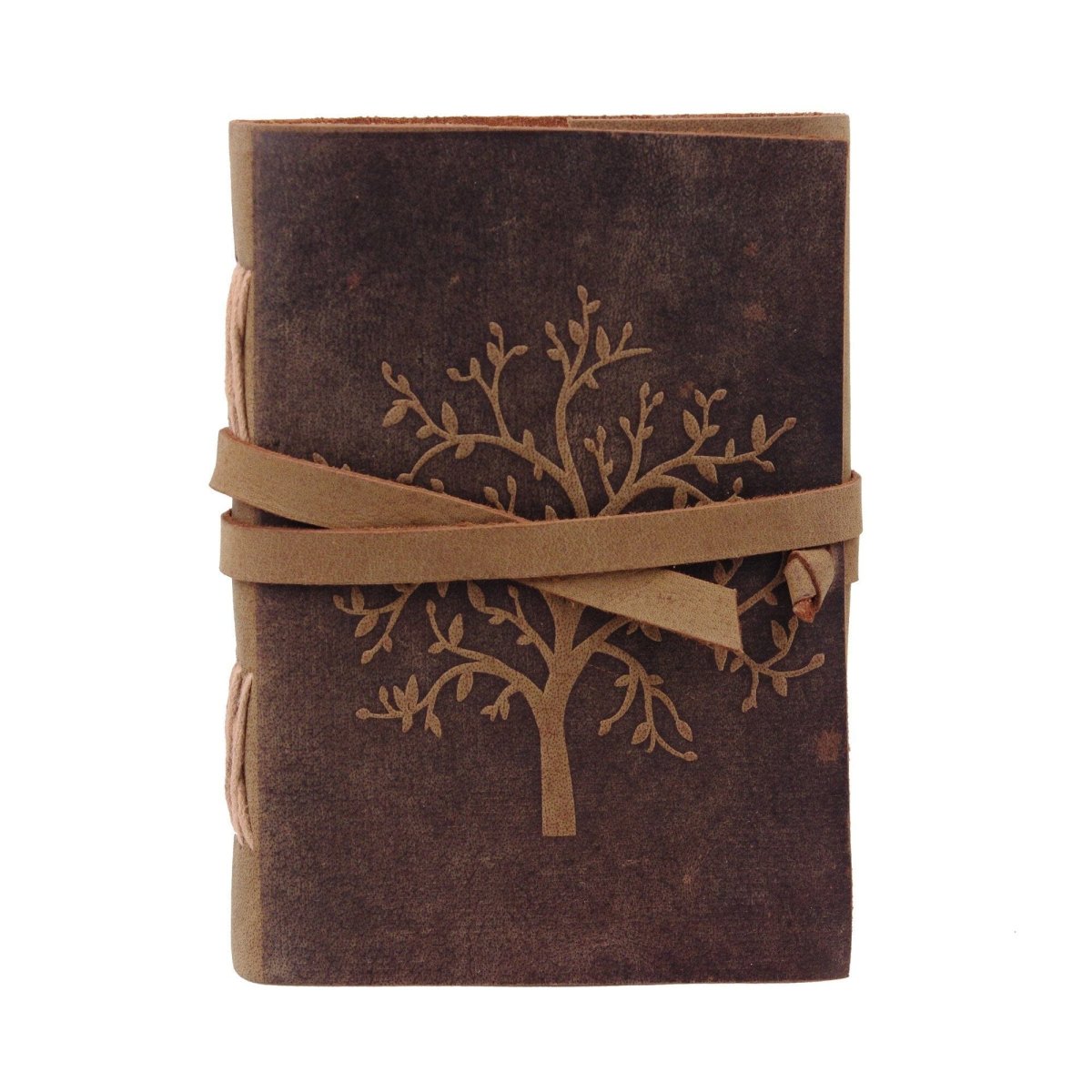 The Sapling Notebook - Imagen 4