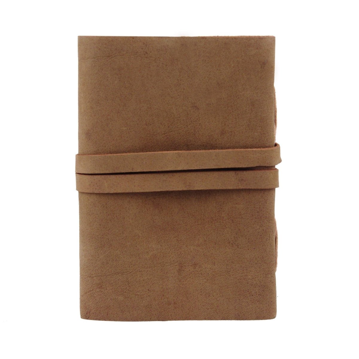 The Sapling Notebook - Imagen 7