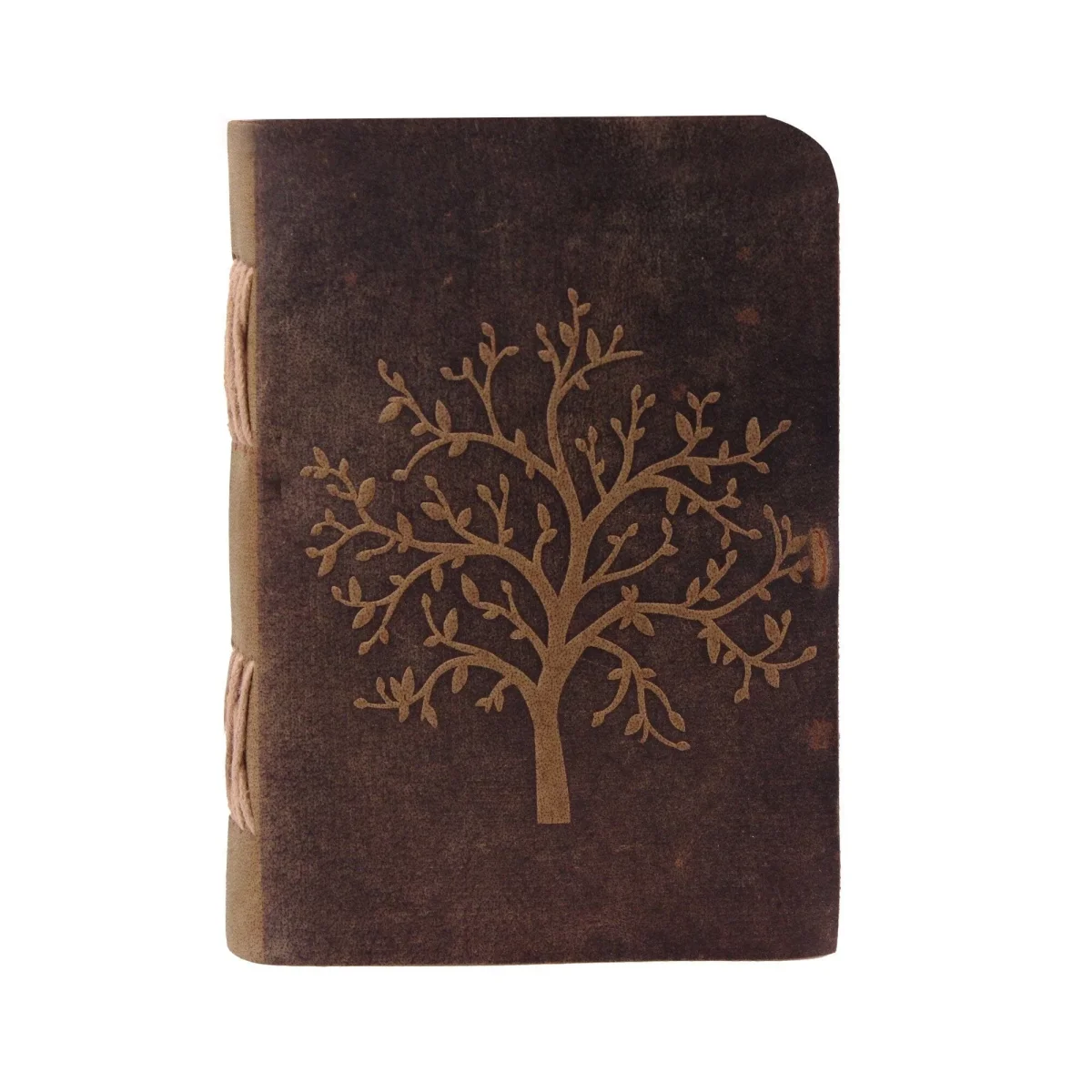 The Sapling Notebook - Imagen 6
