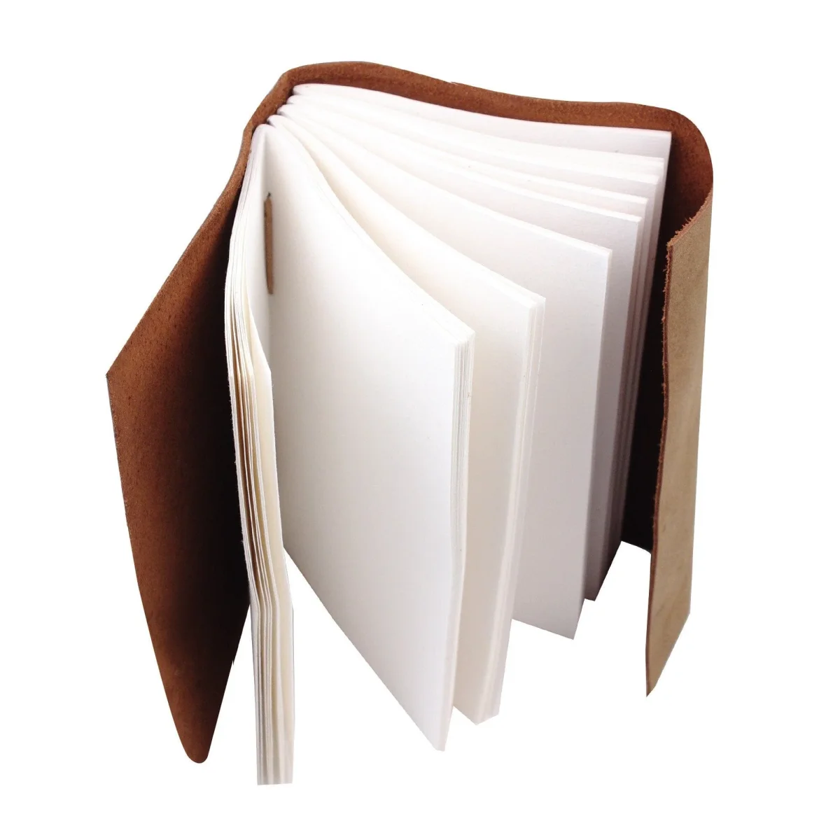 The Sapling Notebook - Imagen 5