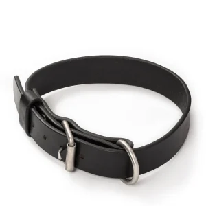 Agitation Leather Dog Collar