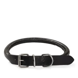 Rolled Leather Dog Collar