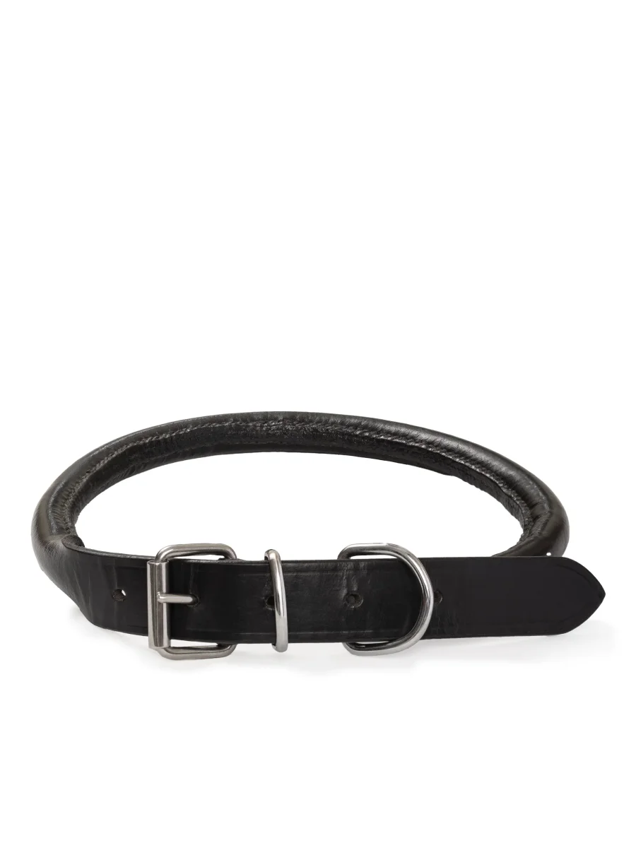 Rolled Leather Dog Collar - Imagen 2
