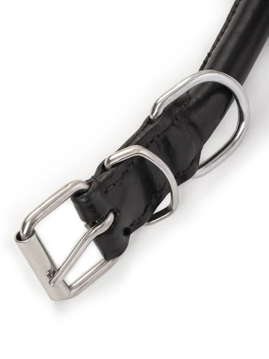 Rolled Leather Dog Collar - Imagen 4