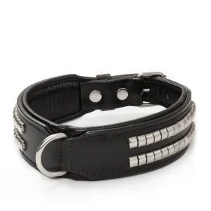 Leather Collar with Designer Studs