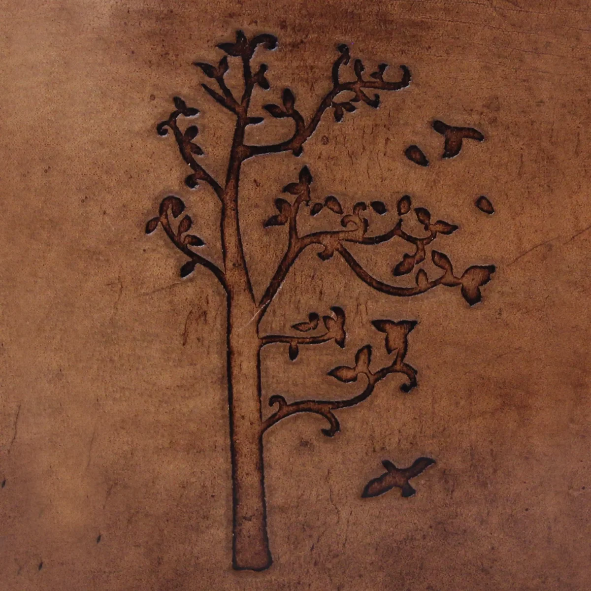Seedling Leather Notebook - Imagen 6